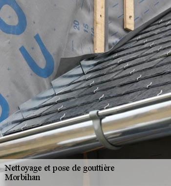 Gouttières Expert Saint-Jean  Entreprise de nettoyage de gouttière